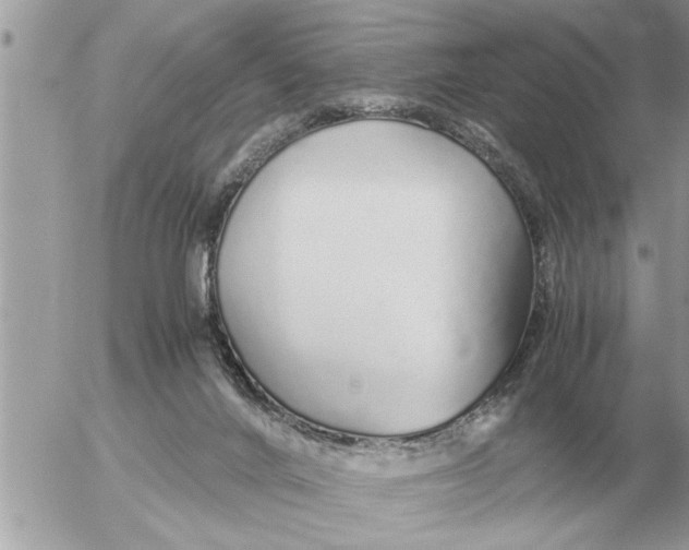 X0000052600024200507292134