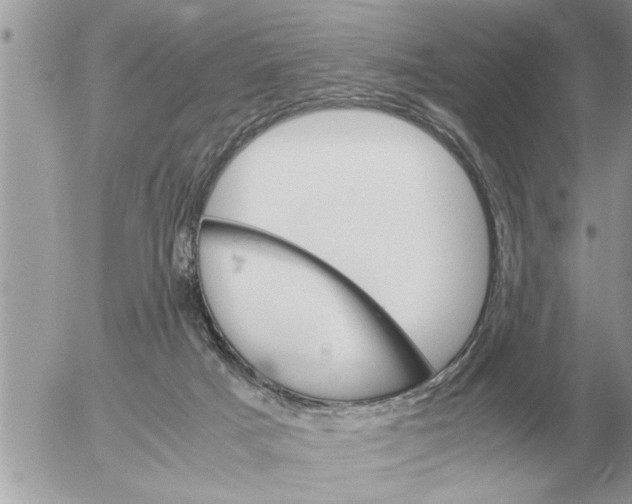 X0000052600025200507292134