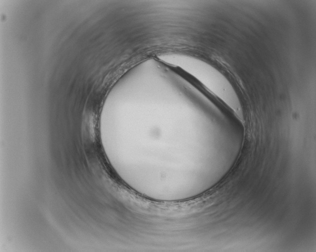 X0000052600026200507292134