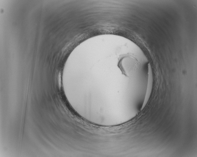 X0000052600027200507292134