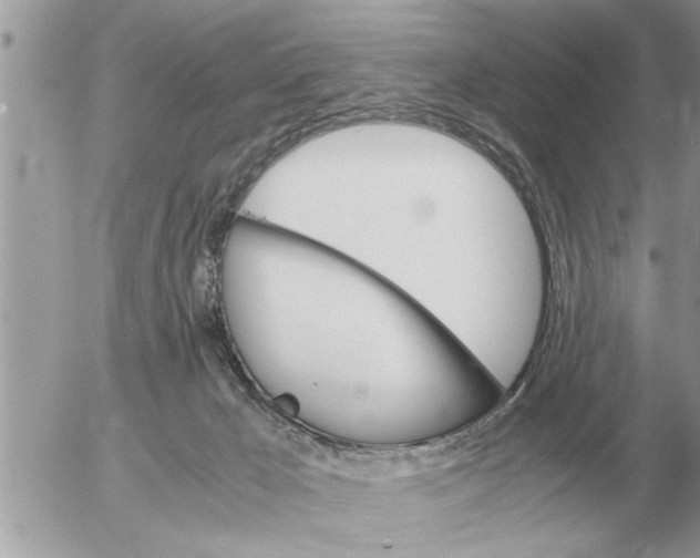 X0000052600029200507292134