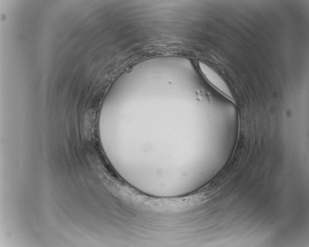 X0000052600030200507292134