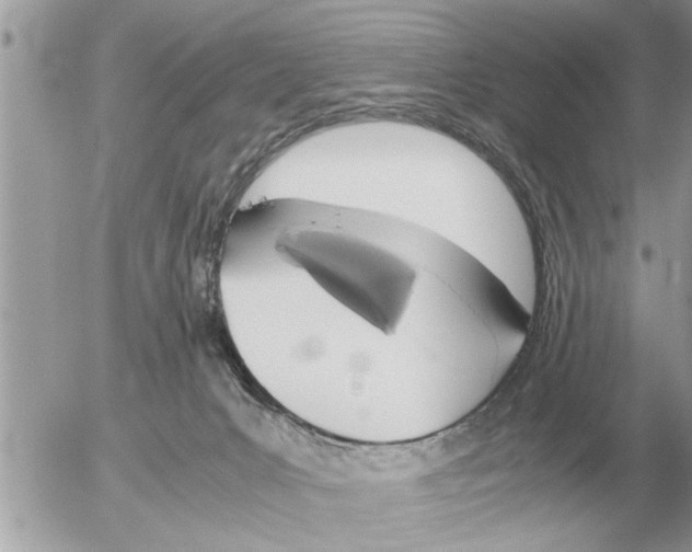 X0000052600031200507292134