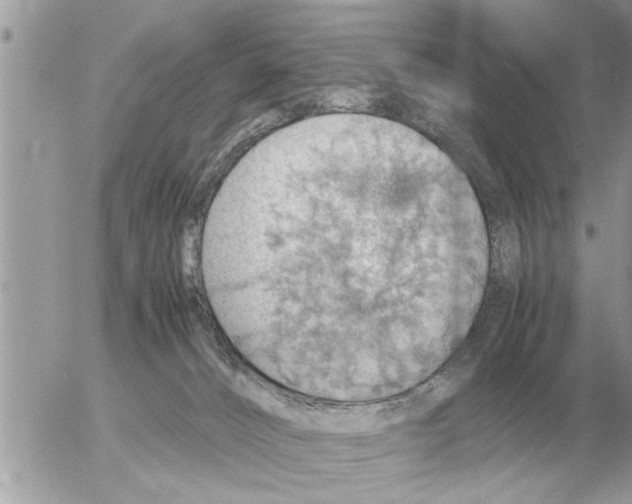 X0000052600032200507292134