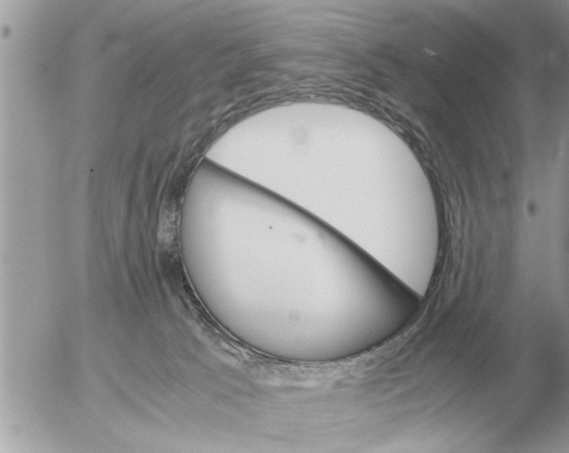 X0000052600033200507292134