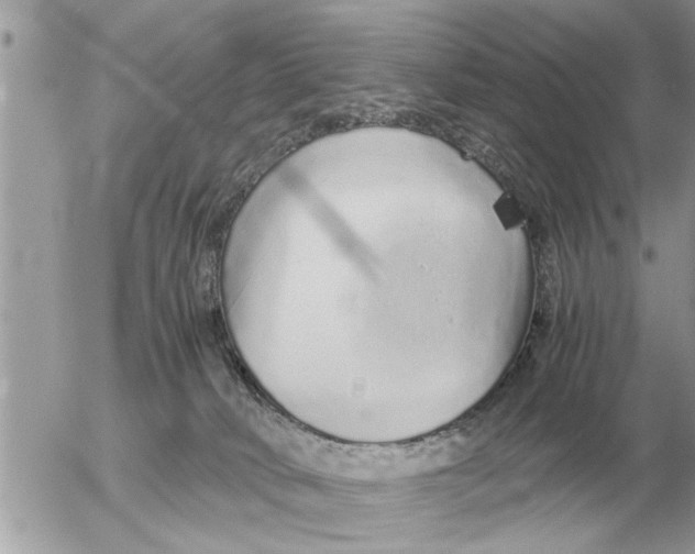 X0000052600034200507292134