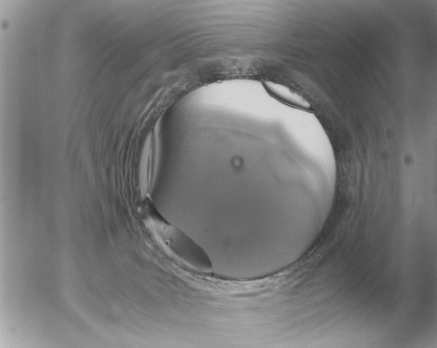 X0000052600035200507292134