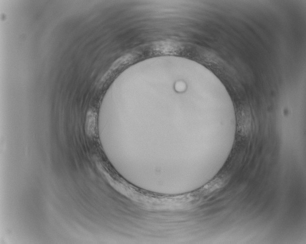 X0000052600036200507292134