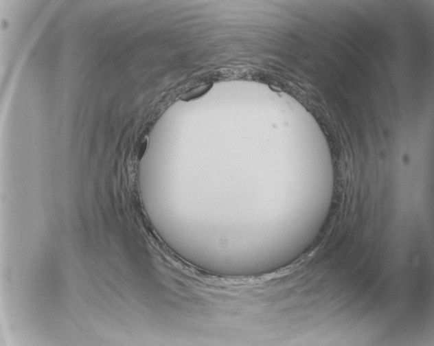 X0000052600037200507292134