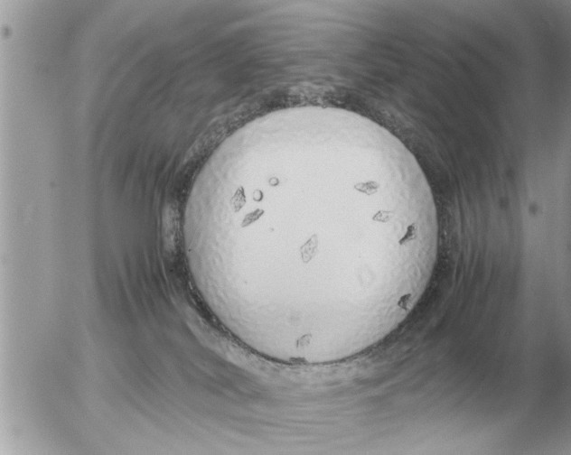 X0000052600038200507292134