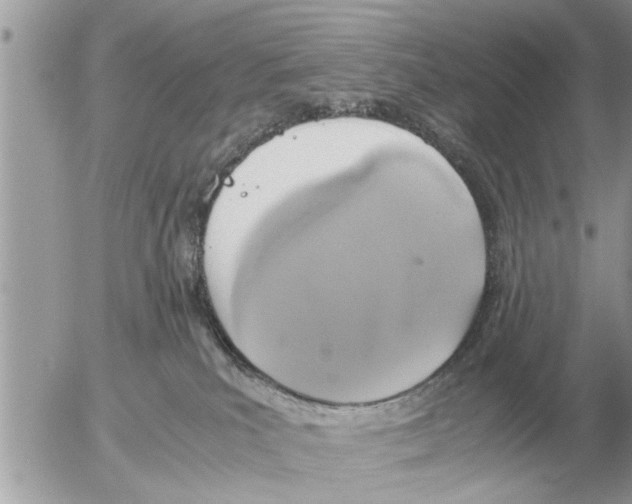 X0000052600039200507292134