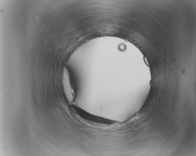 X0000052600040200507292134