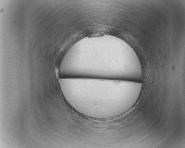 X0000052600041200507292134