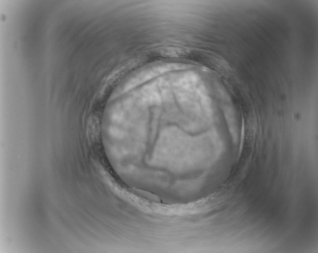 X0000052600043200507292134