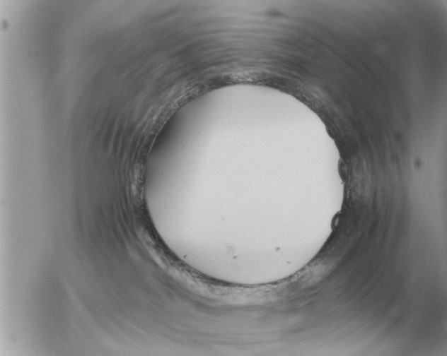 X0000052600044200507292134