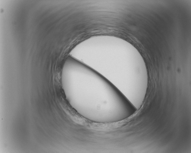 X0000052600045200507292134