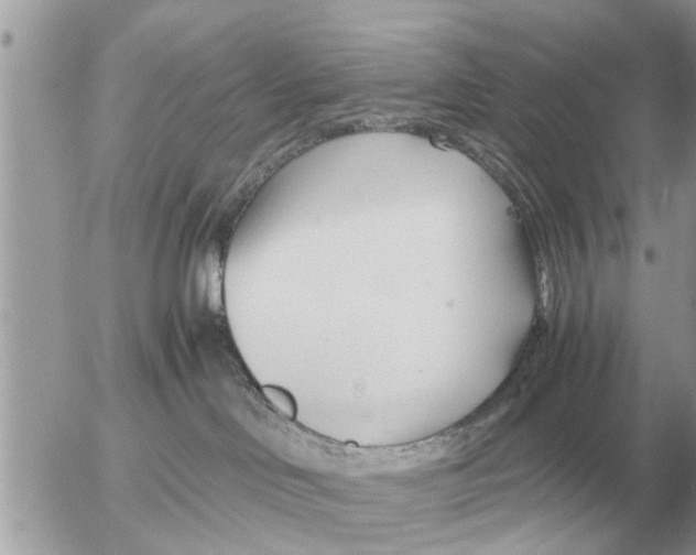 X0000052600046200507292134