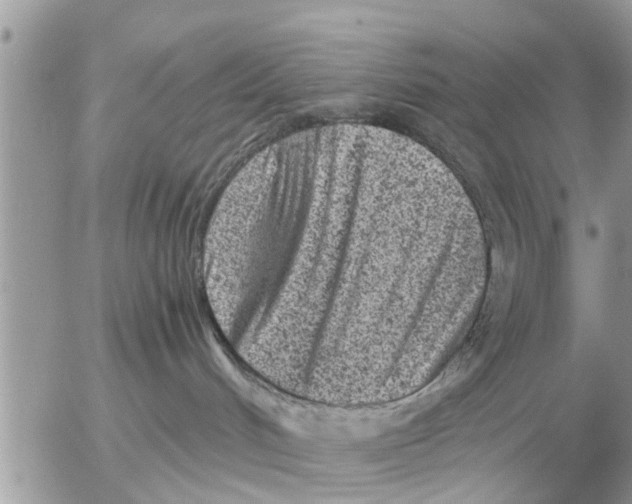 X0000052600048200507292134