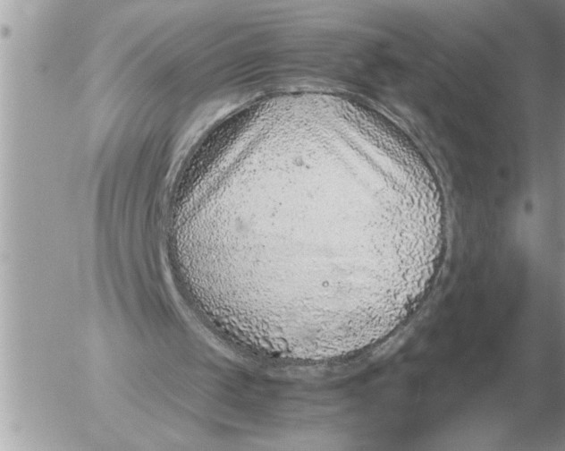 X0000052600049200507292133