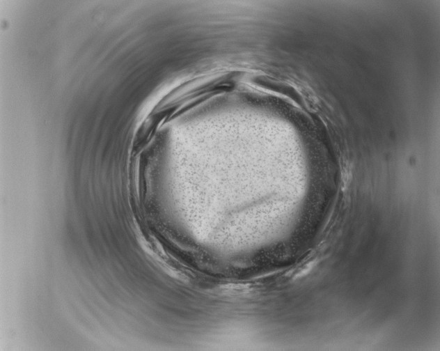 X0000052600052200507292133