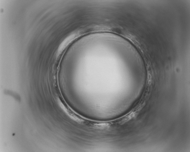 X0000052600053200507292133