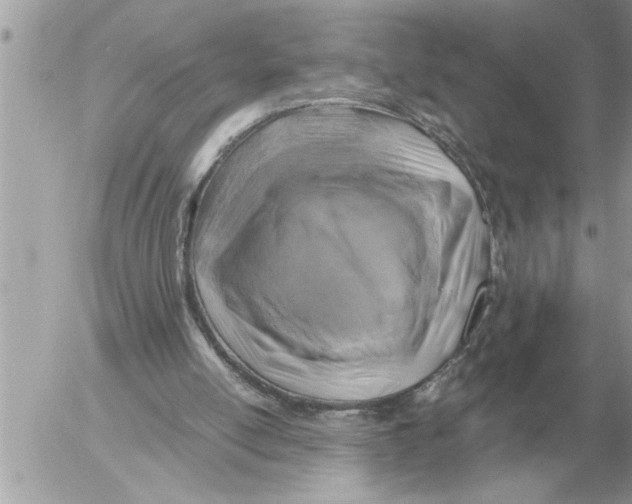 X0000052600054200507292133