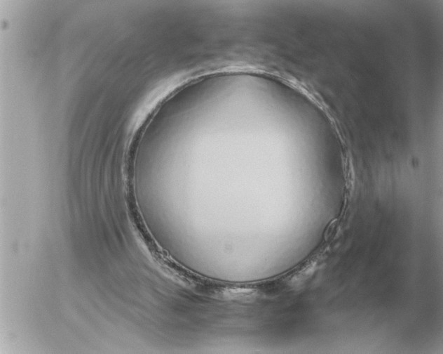 X0000052600055200507292133