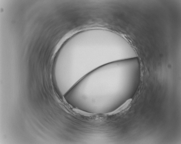 X0000052600056200507292133