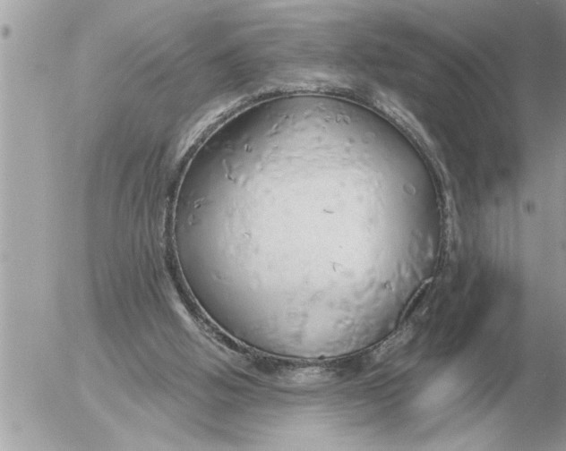 X0000052600058200507292133