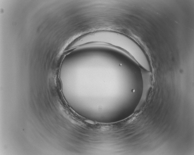 X0000052600060200507292133