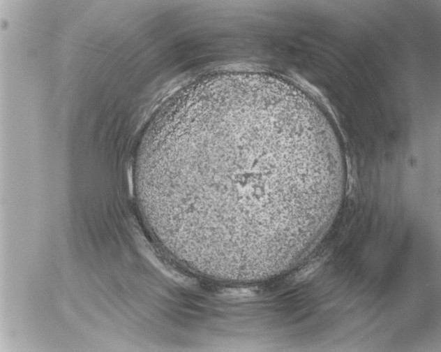 X0000052600061200507292133