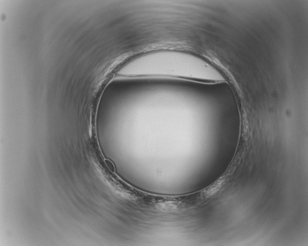 X0000052600062200507292133