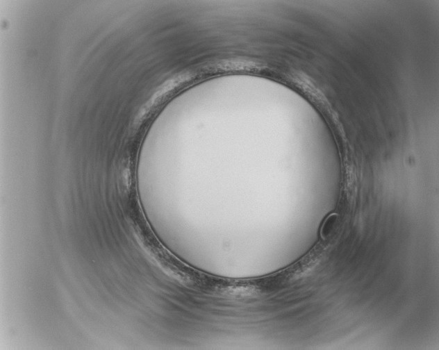 X0000052600063200507292133