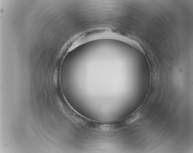 X0000052600064200507292133