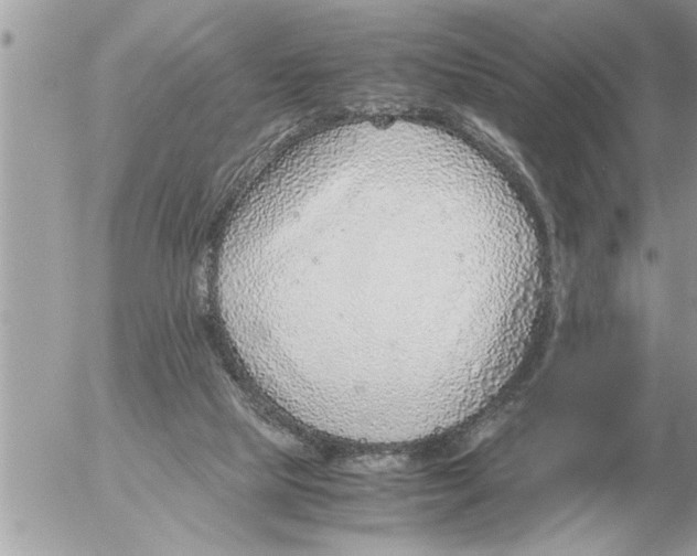 X0000052600065200507292133