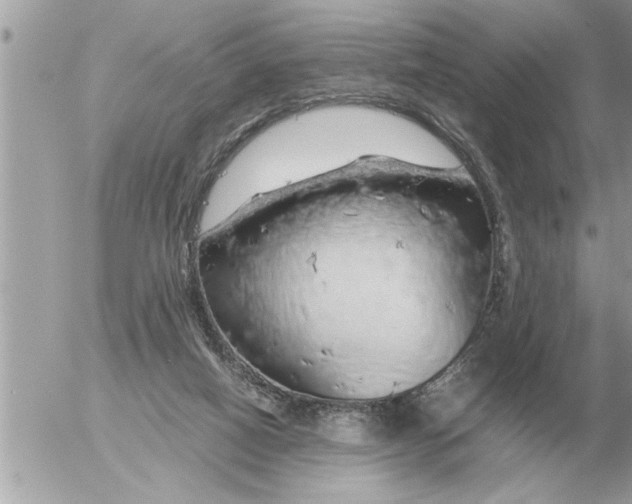 X0000052600066200507292133