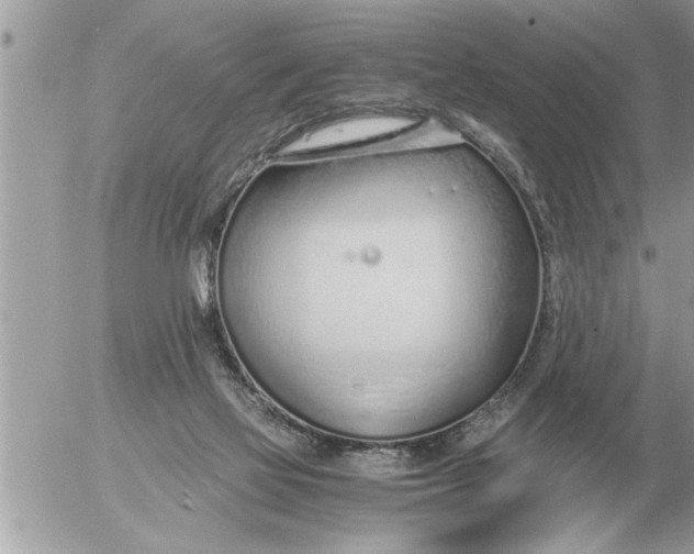 X0000052600069200507292133