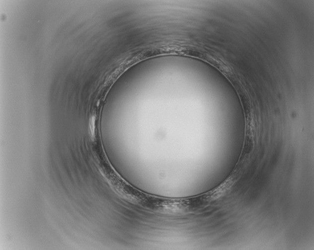 X0000052600070200507292133