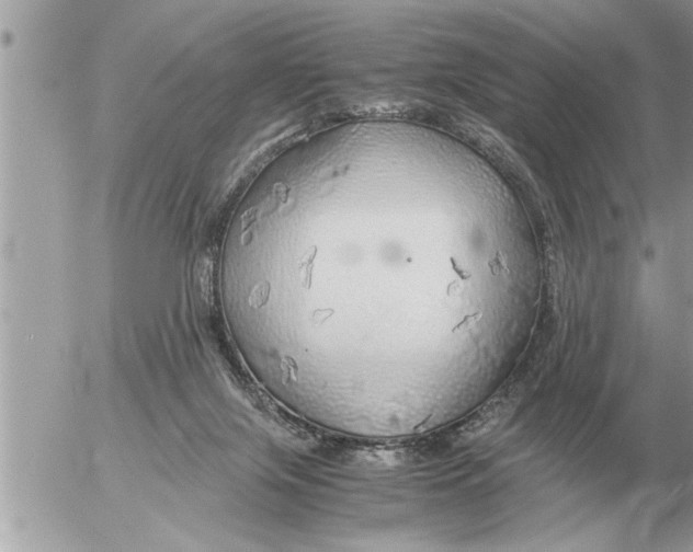 X0000052600071200507292133