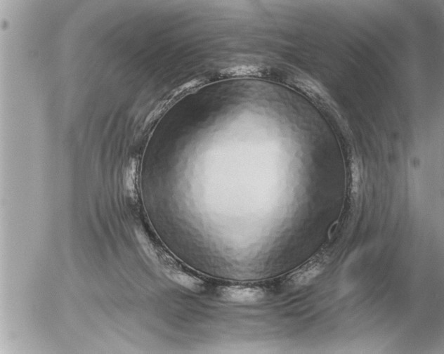 X0000052600073200507292133