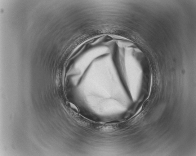 X0000052600074200507292133