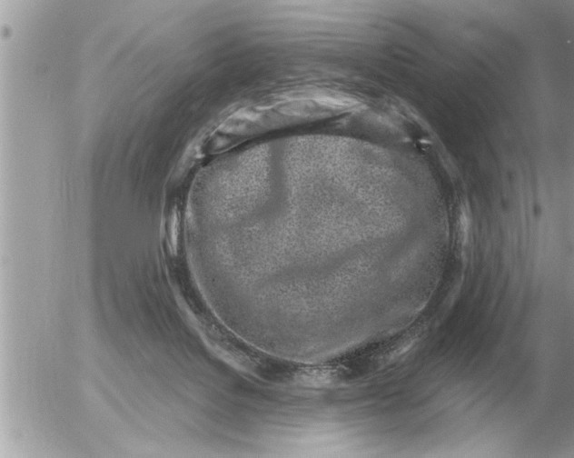 X0000052600076200507292133