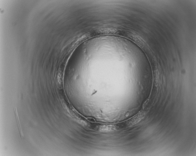 X0000052600077200507292133