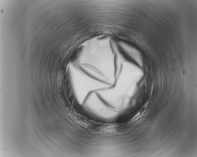 X0000052600078200507292133