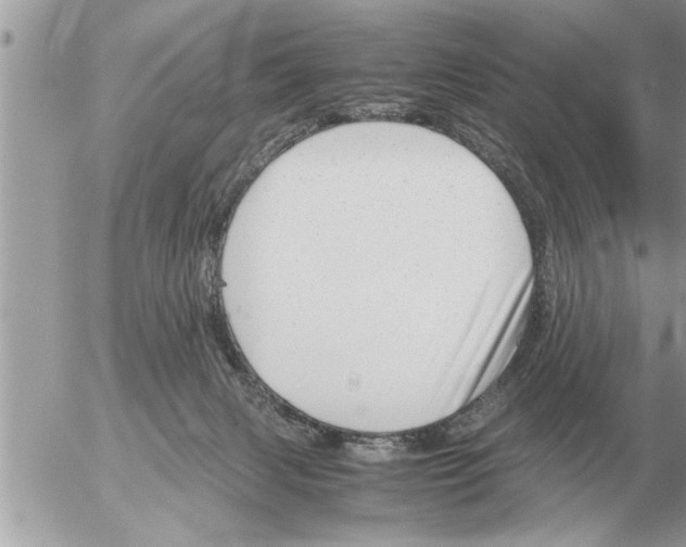 X0000052600079200507292133