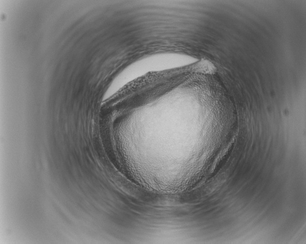 X0000052600080200507292133