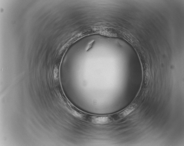 X0000052600081200507292133