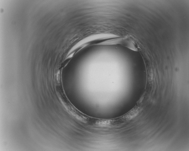 X0000052600084200507292134