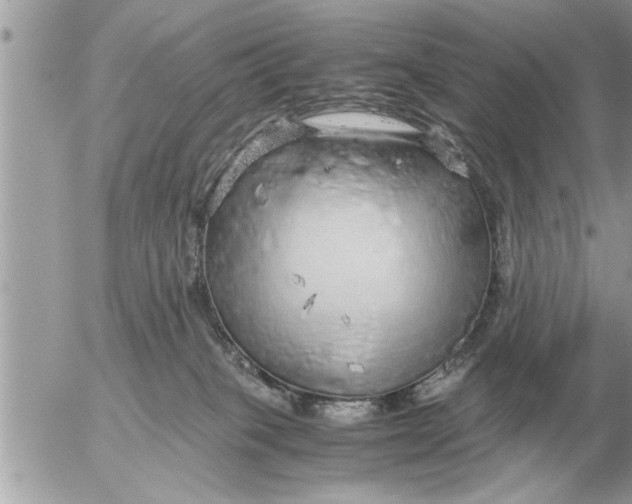 X0000052600085200507292134