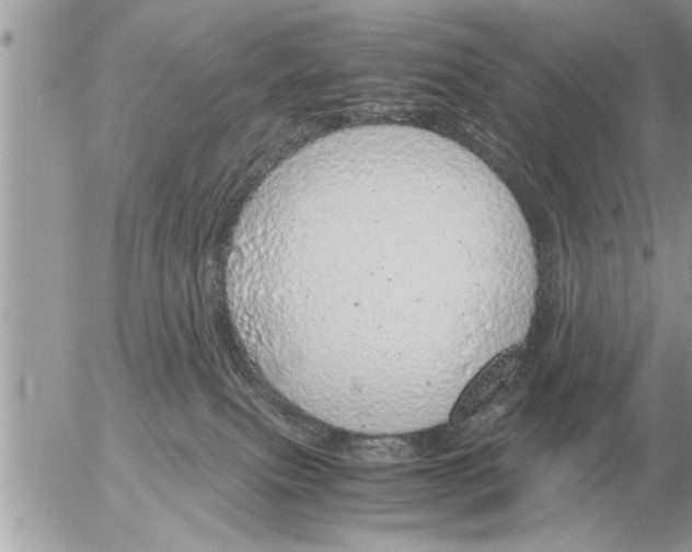 X0000052600087200507292134